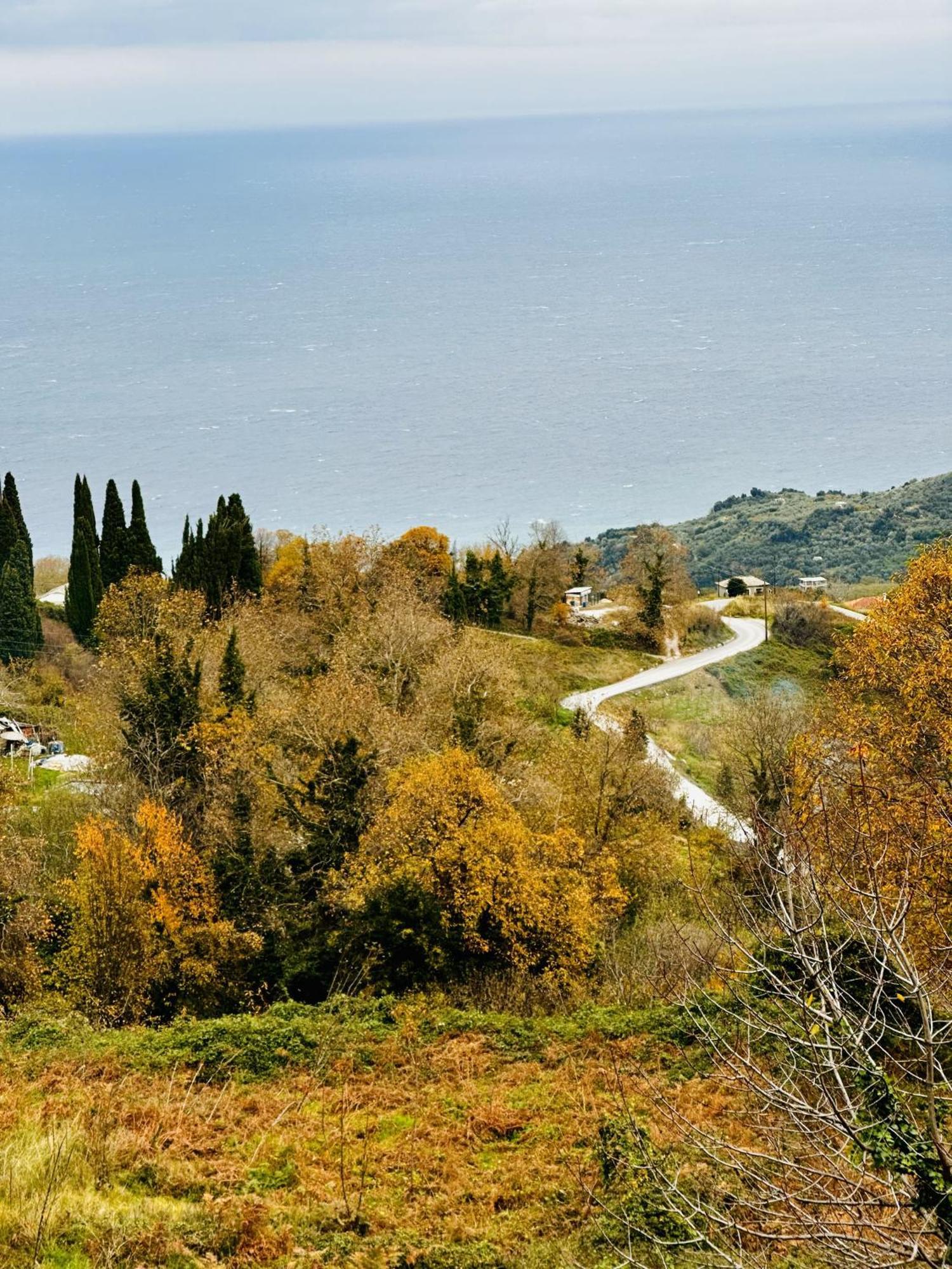 Luxury Villa at Pelion- Ruby Zagora Esterno foto
